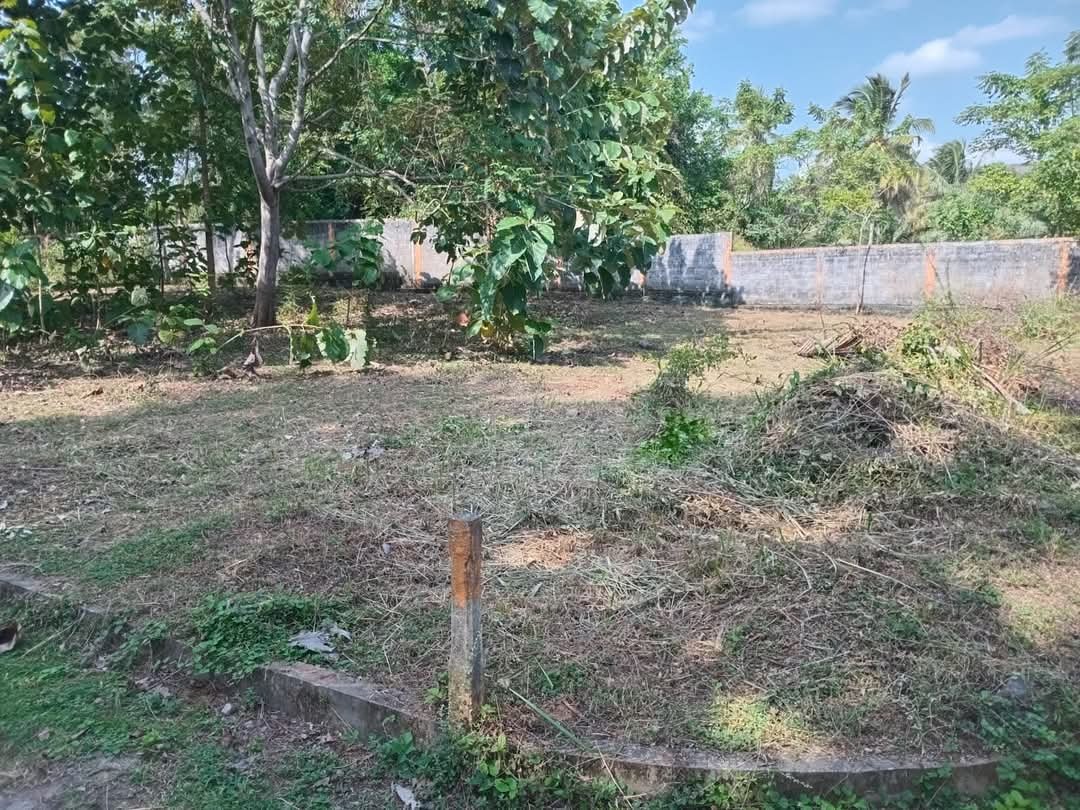 කුරුණැගල මැදලන්ද වත්ත