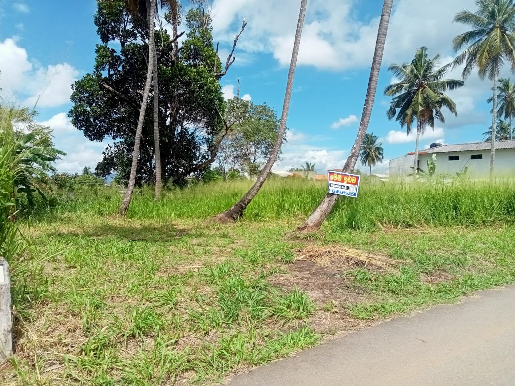 Land for Sale Kurunegala Muththettugala