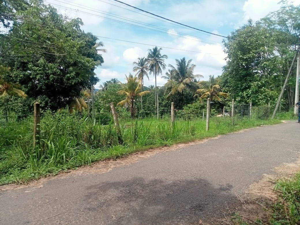 LAND FOR SALE KURUNEGALA KIRIWAWLA 