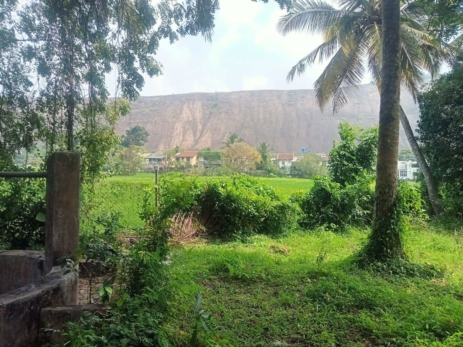 කුරුණෑගල වැවරවුම මැදලන්දවත්ත පර් 53ක ඉඩම විකිණීමට  