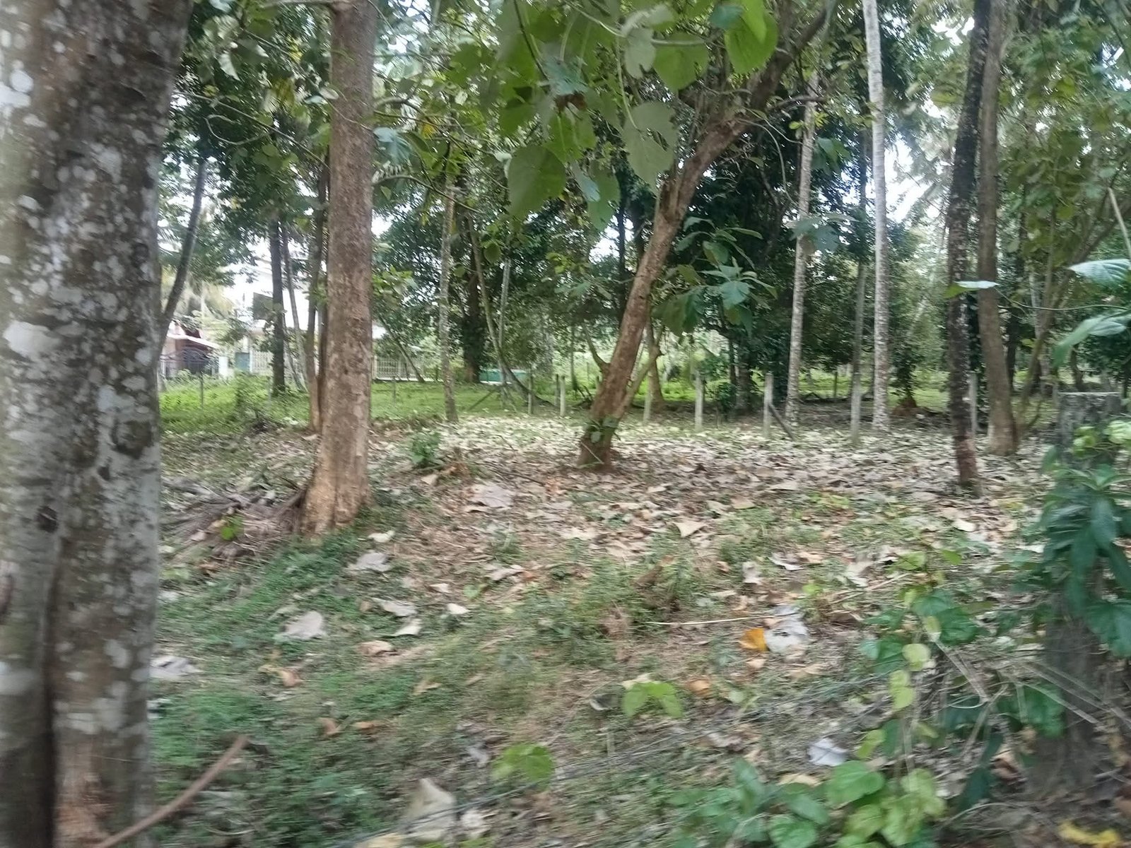 කුරුණැගල පුත්තලම්පාර  ඉඩම් දෙකක් විකිණිමට 